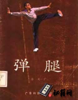 [武功秘籍]弹腿.pdf