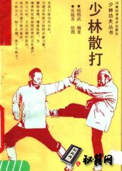 [武功秘籍]少林散打(韩绍武).pdf