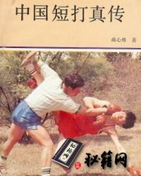 [武功秘籍]中国短打真传(翻子拳）_蔺心维著.pdf