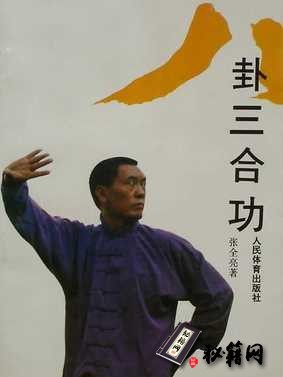 [武功秘籍]八卦三合功_张全亮.pdf